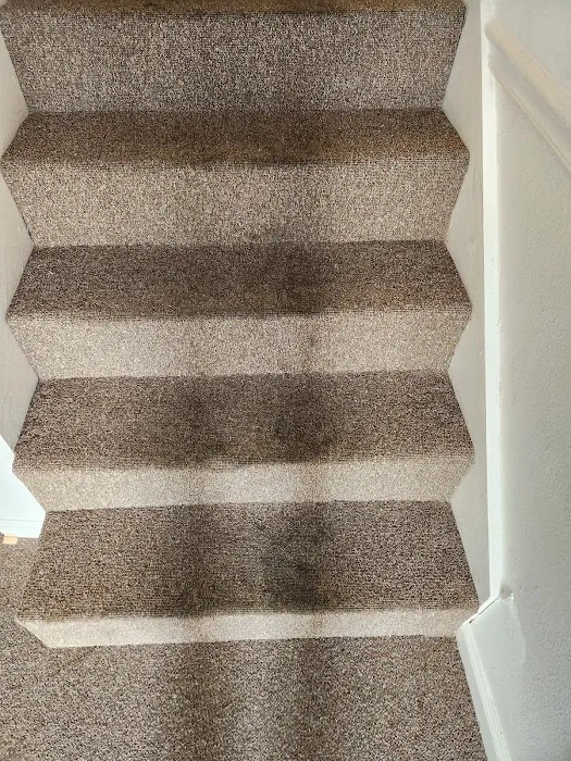 Wooldridge Floor Cleaning Picture 10