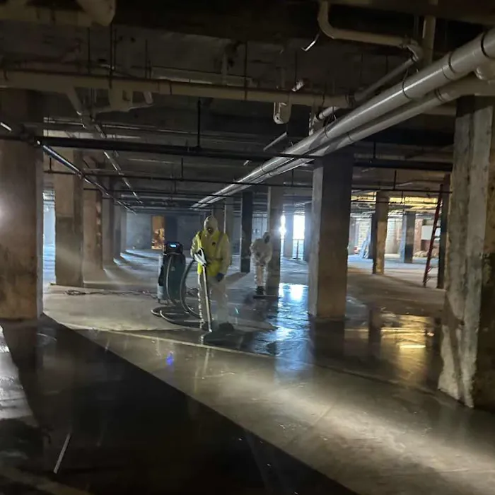 Revival Restoration Services Picture 4