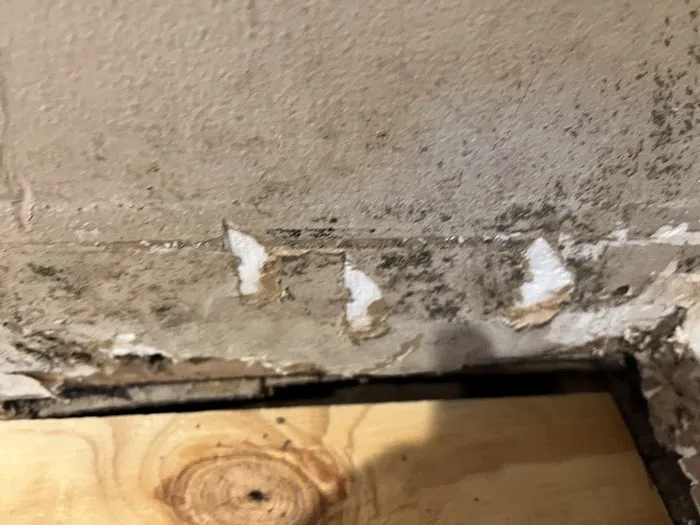 Arkansas Power Dry - Water Damage Picture 8