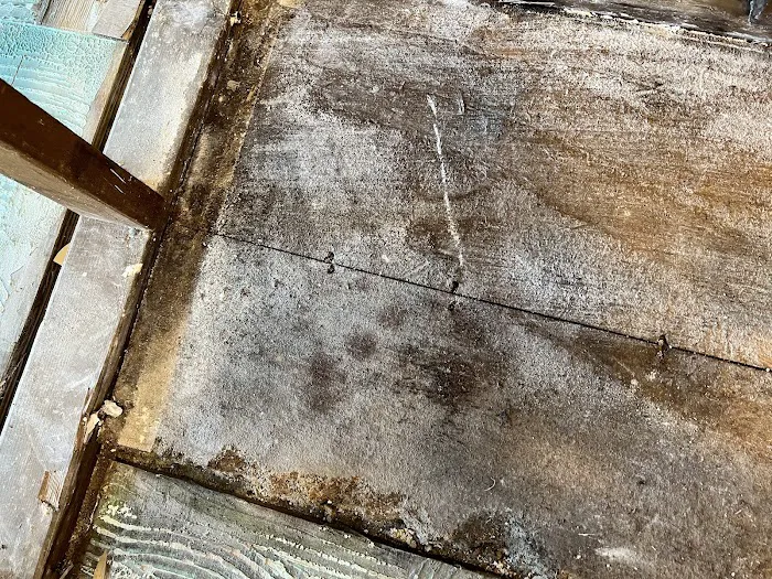 Arkansas Power Dry - Water Damage Picture 3