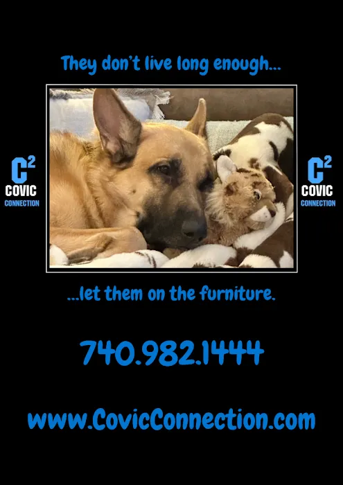 Covic Connection Picture 5