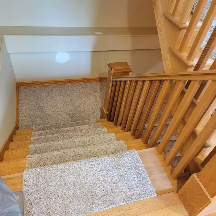 Carpet Care Plus, Inc. Picture 7