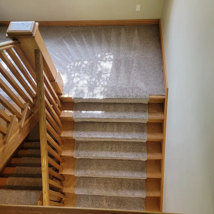 Carpet Care Plus, Inc. Picture 6