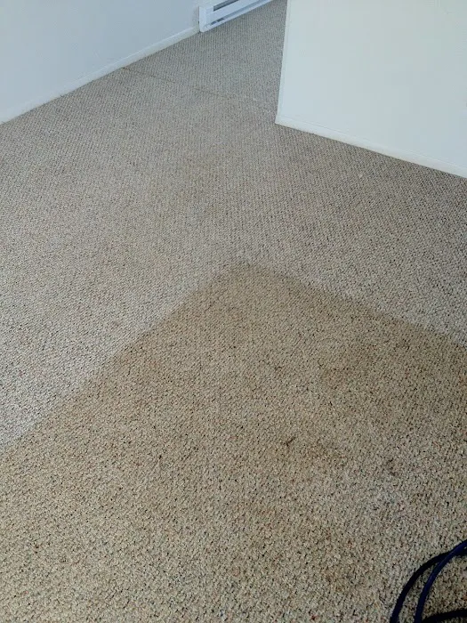 Carpet Care Plus, Inc. Picture 8