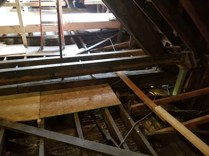 Lepi Enterprises Inc. Picture 5