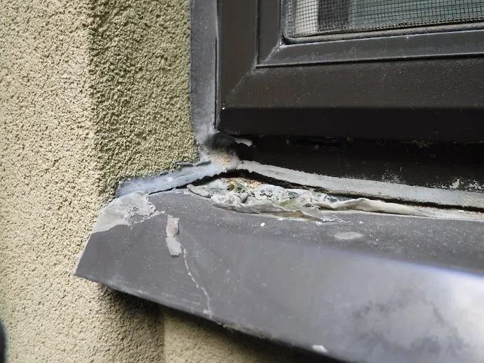 Lunny Building Diagnostics, Stucco Inspection Experts Picture 6