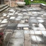 McDundee Roof & Exterior Softwashing