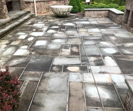 McDundee Roof & Exterior Softwashing