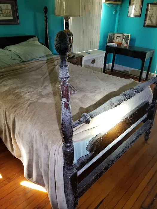 Elmont Mold Removal & Inspections Picture 1