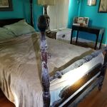 Elmont Mold Removal & Inspections