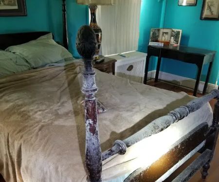 Elmont Mold Removal & Inspections