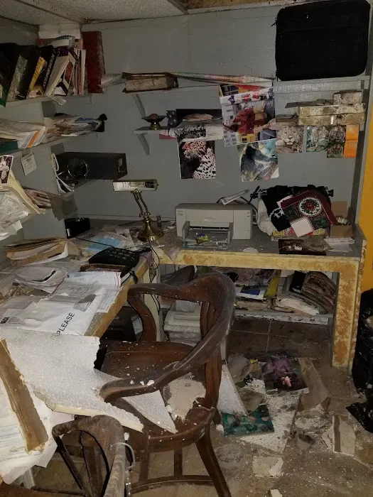 Elmont Mold Removal & Inspections Picture 5