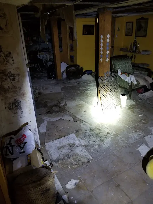 Elmont Mold Removal & Inspections Picture 2