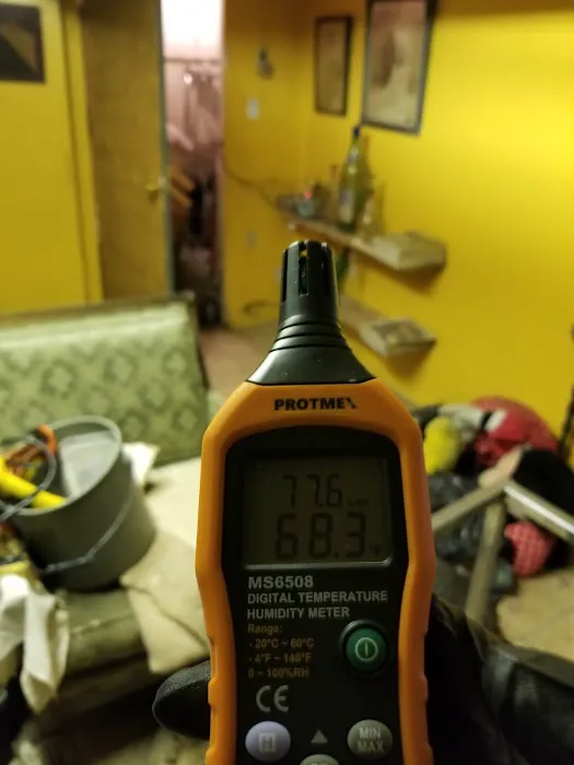 Elmont Mold Removal & Inspections Picture 4