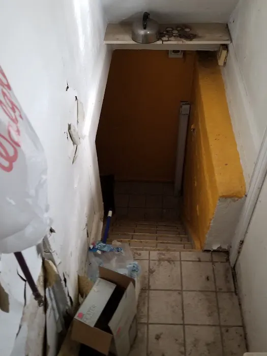 Elmont Mold Removal & Inspections Picture 6
