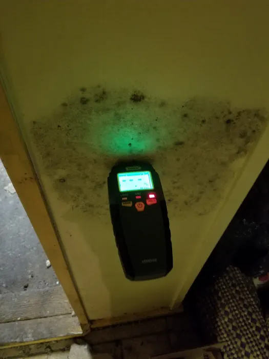 Elmont Mold Removal & Inspections Picture 7