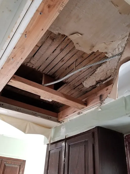 Elmont Mold Removal & Inspections Picture 8