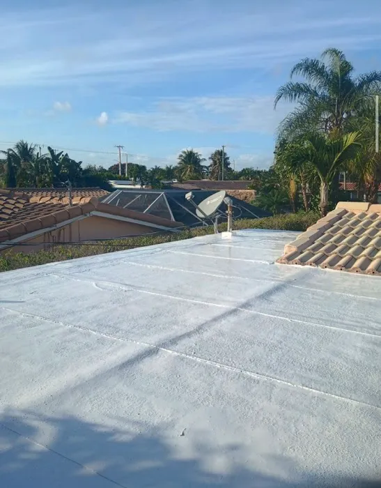 Gilmore Roof & Leak Repairs Picture 4