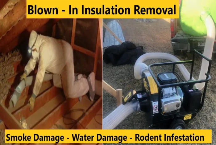 Green Wave Picture 2