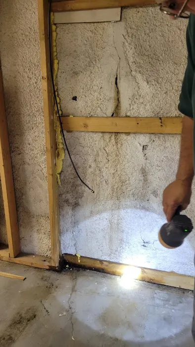 Green Wave Picture 9