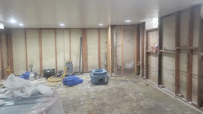 Green Wave Picture 7