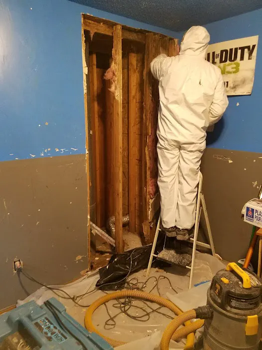 Green Wave Picture 8