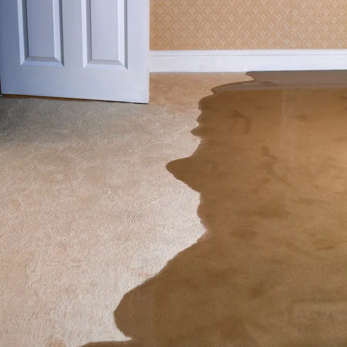 Rainbow International of Wichita Picture 7