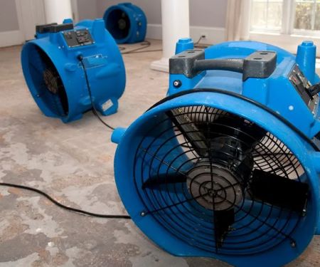 Rainbow International of Wichita