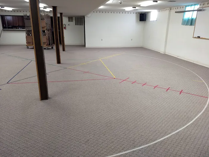 Snow White Carpet Cleaning Picture 3