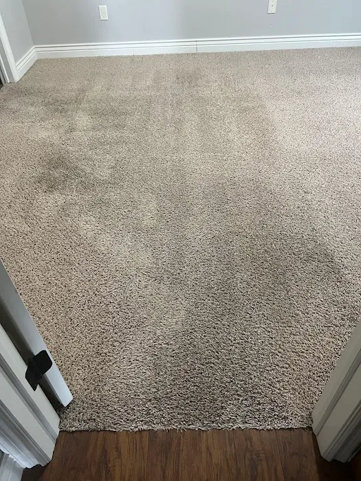 Snow White Carpet Cleaning Picture 1