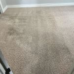 Snow White Carpet Cleaning