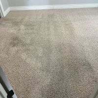 Snow White Carpet Cleaning ico