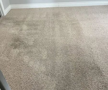 Snow White Carpet Cleaning