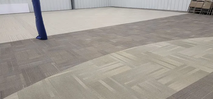 Snow White Carpet Cleaning Picture 8