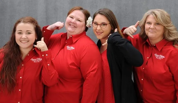 Snow White Carpet Cleaning Picture 5