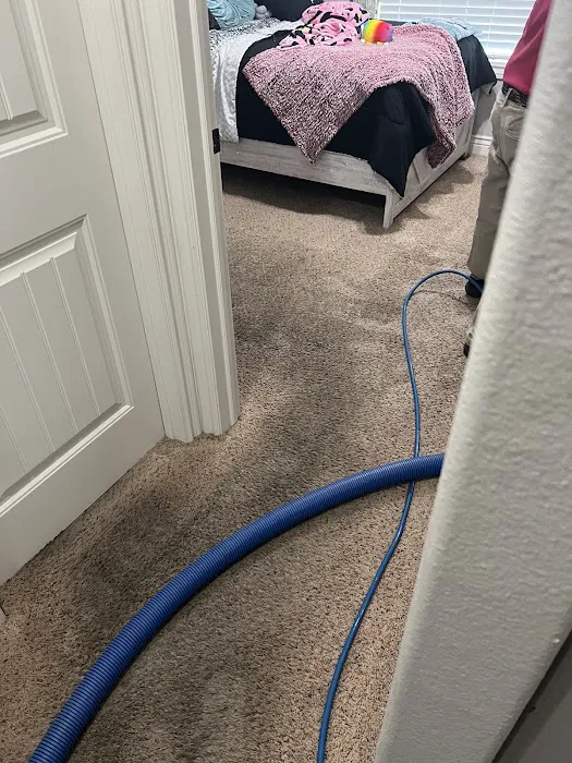 Snow White Carpet Cleaning Picture 10