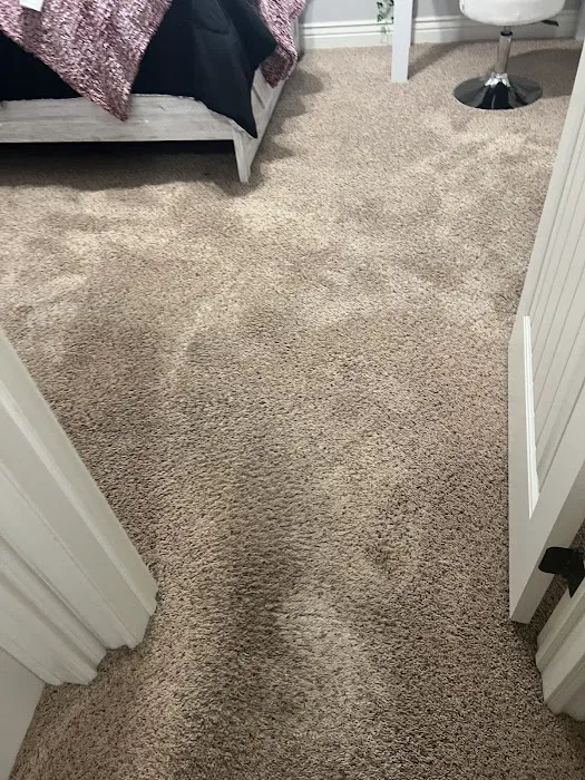 Snow White Carpet Cleaning Picture 2