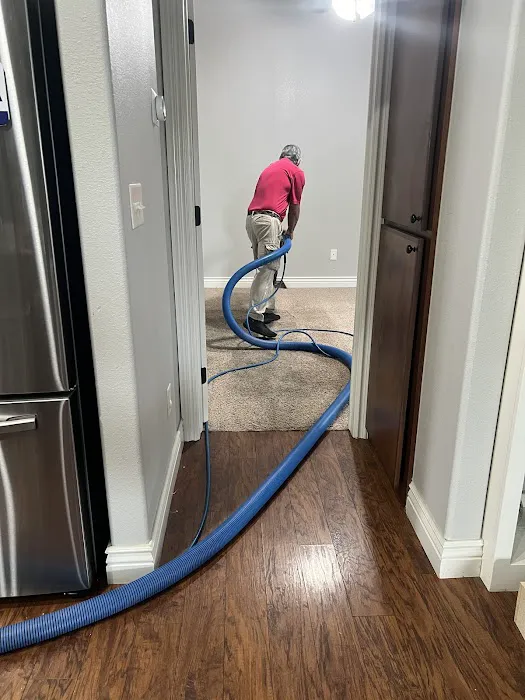 Snow White Carpet Cleaning Picture 9