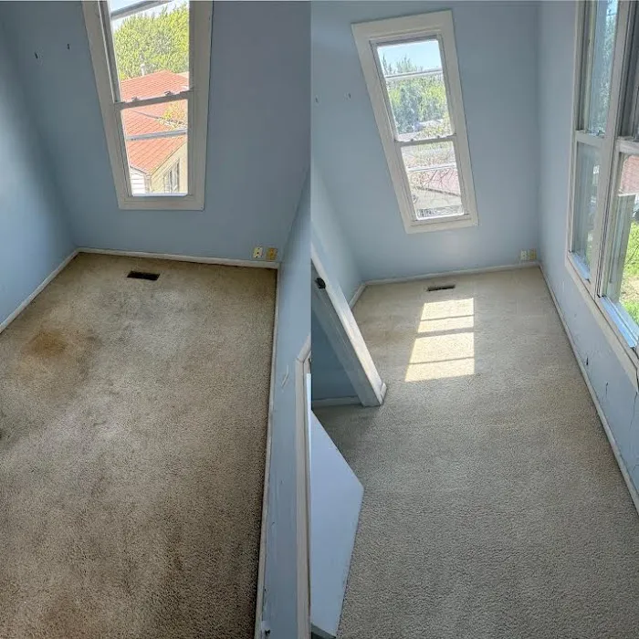 Snow White Carpet Cleaning Picture 7