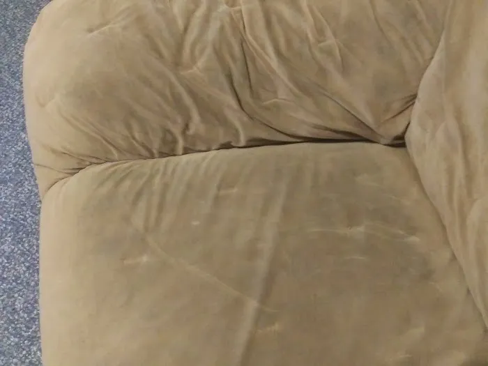 Stanley Steemer Picture 2