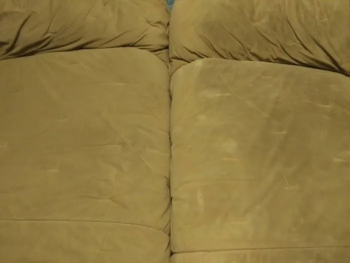 Stanley Steemer Picture 1