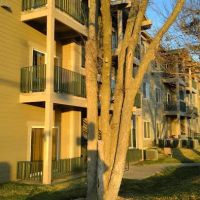 ACUTE Construction Services, Inc. ico