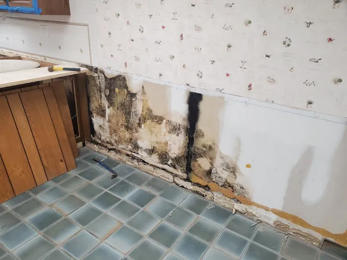 Stover's Restoration Picture 2