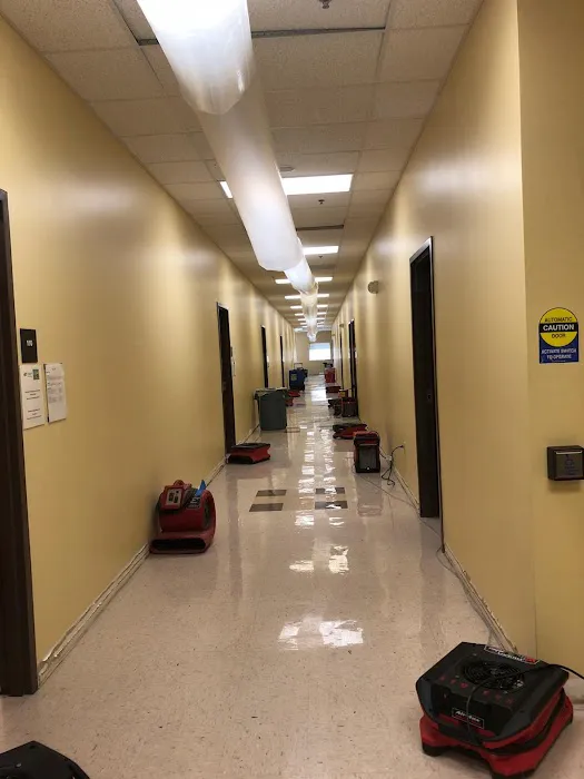 Stover's Restoration Picture 1