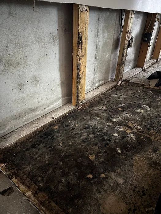 Premier Restoration of Wichita Picture 4