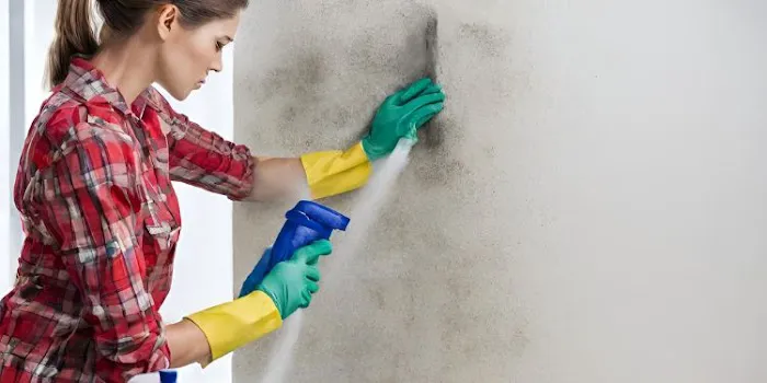 Azulito Mold Removal Picture 3