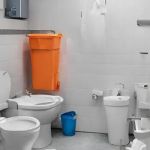 Azulito Mold Removal