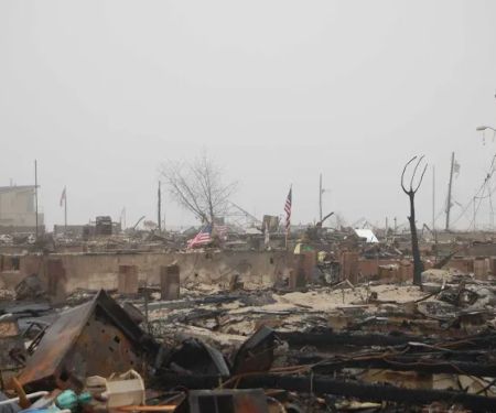 Rocky Mountain Restoration