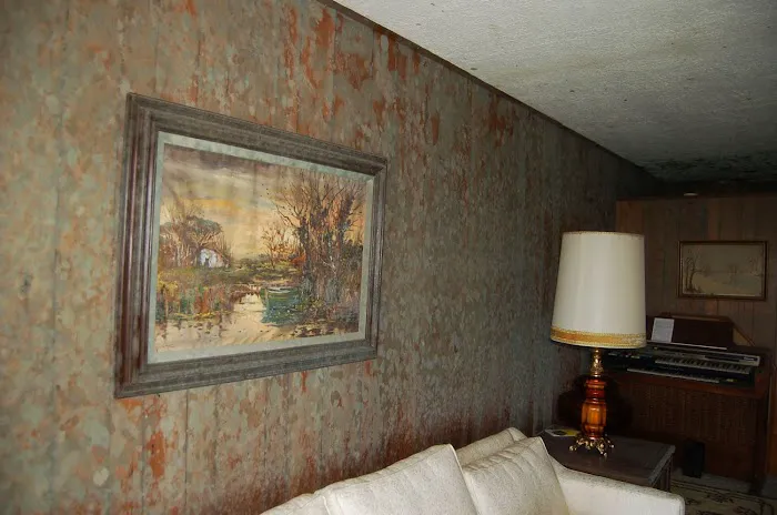 Rocky Mountain Restoration Picture 2