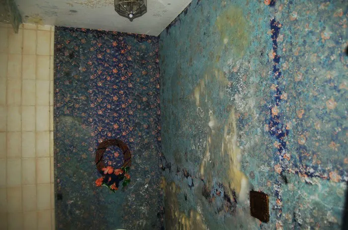 Rocky Mountain Restoration Picture 4